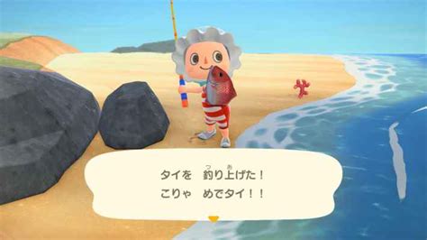 Red Snapper Price Animal Crossing